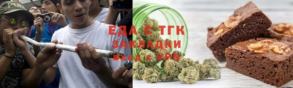 индика Арсеньев