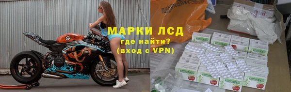 индика Арсеньев