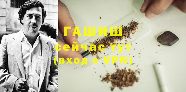 индика Арсеньев