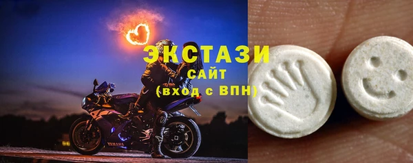 индика Арсеньев
