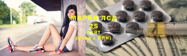 индика Арсеньев