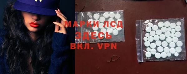 индика Арсеньев