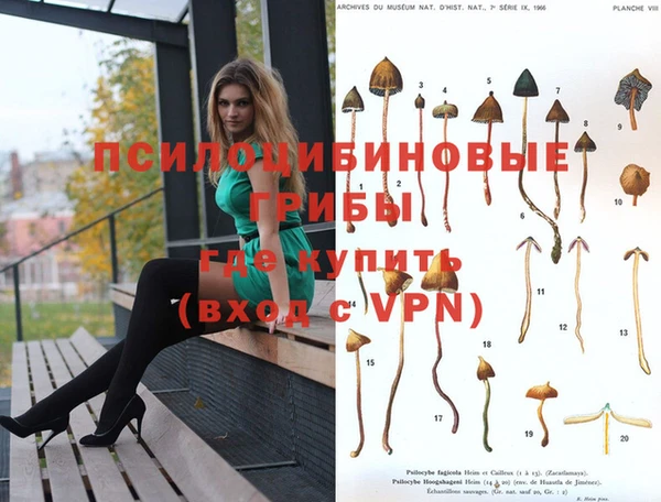 Альфа ПВП Армянск