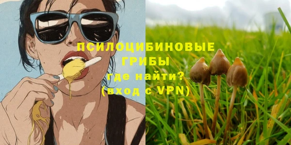 индика Арсеньев