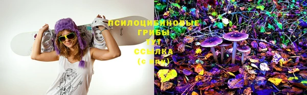 Альфа ПВП Армянск