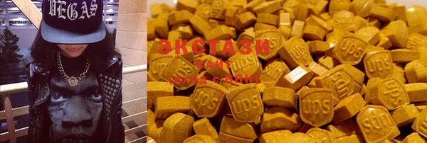 индика Арсеньев