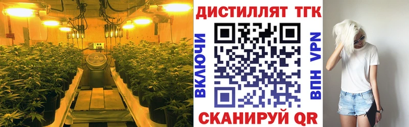 магазин продажи наркотиков  Приволжск  Дистиллят ТГК концентрат 
