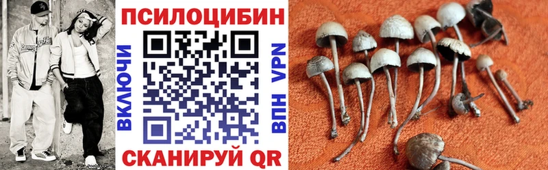 Галлюциногенные грибы GOLDEN TEACHER  где найти наркотики  Приволжск 